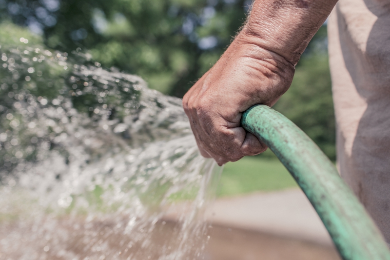 jardinerie-CABASSE-min_garden-hose-413684